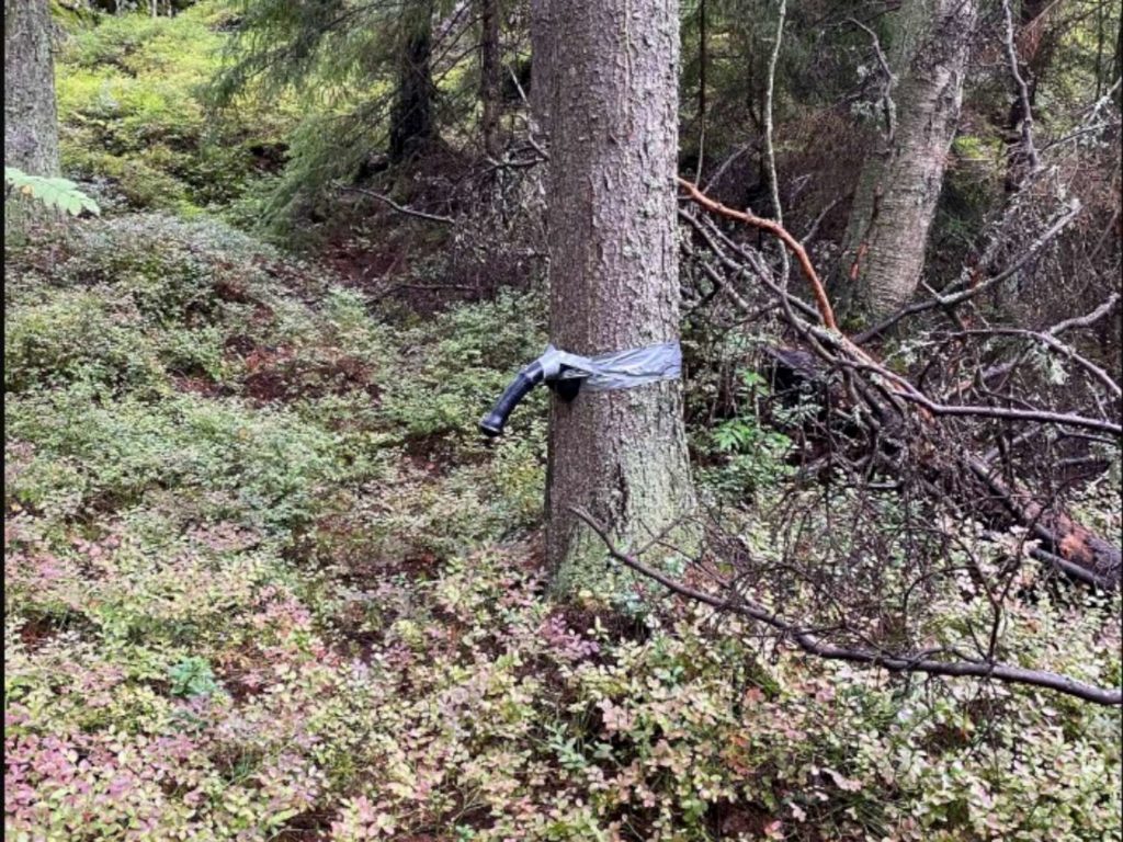 Helsinki peni bosco