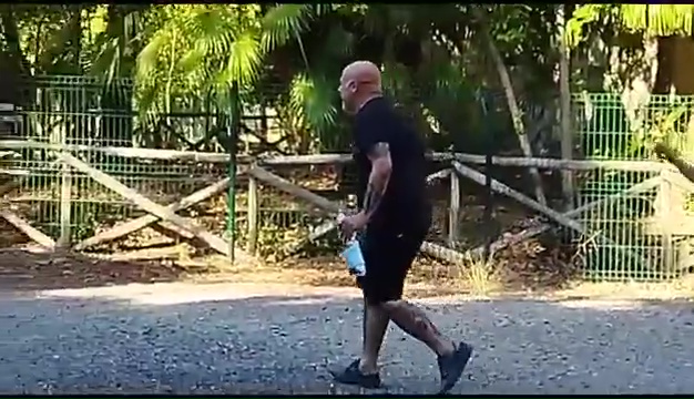 Ritrovato a Livorno Weiss il pittbull sordo, il commovente incontro coi padroni