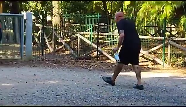 Ritrovato a Livorno Weiss il pittbull sordo, il commovente incontro coi padroni