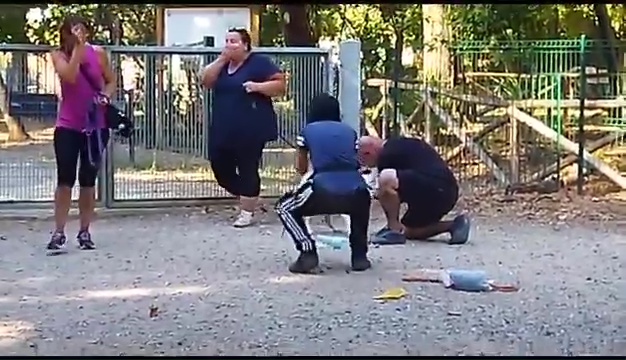 Ritrovato a Livorno Weiss il pittbull sordo, il commovente incontro coi padroni