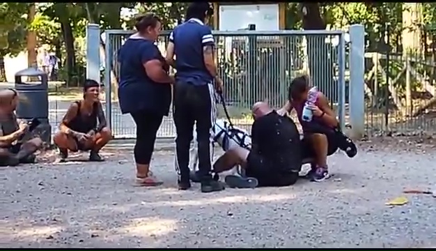 Ritrovato a Livorno Weiss il pittbull sordo, il commovente incontro coi padroni