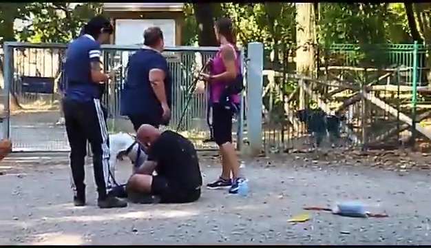 Ritrovato a Livorno Weiss il pittbull sordo, il commovente incontro coi padroni