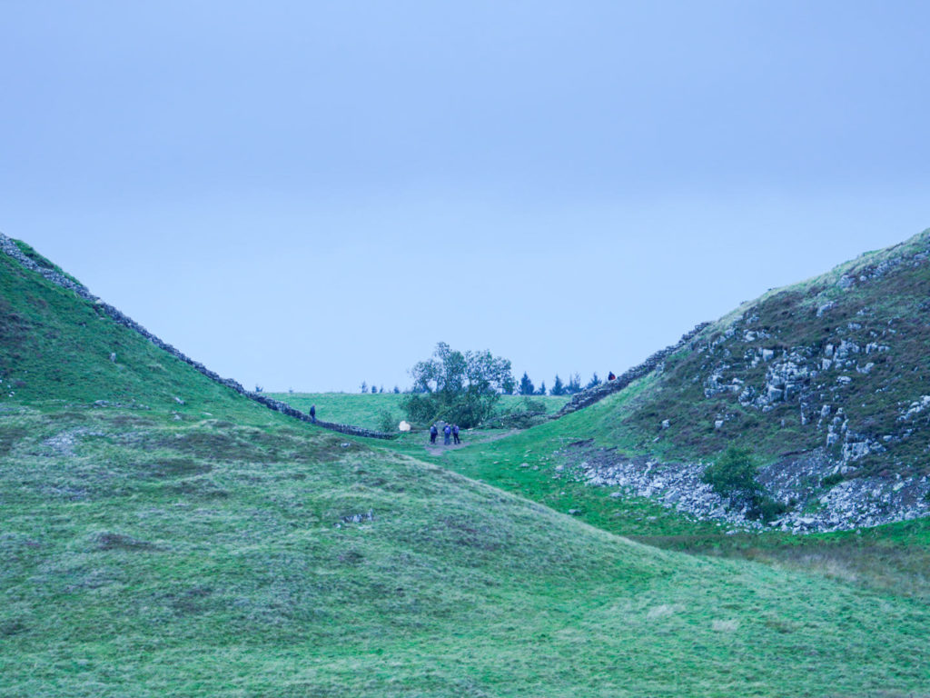 b sotto shock, abbattuto l'albero simbolo Sycamore Gap
