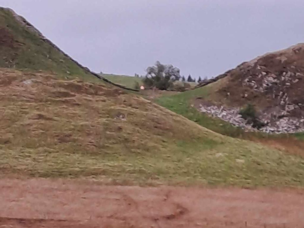 b sotto shock, abbattuto l'albero simbolo Sycamore Gap