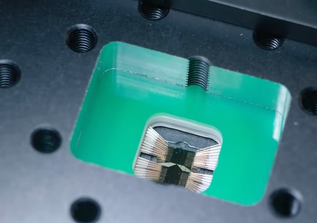 Musk cerca cavie umane per testare il chip cerebrale: nei test sono morti 1.500 animali