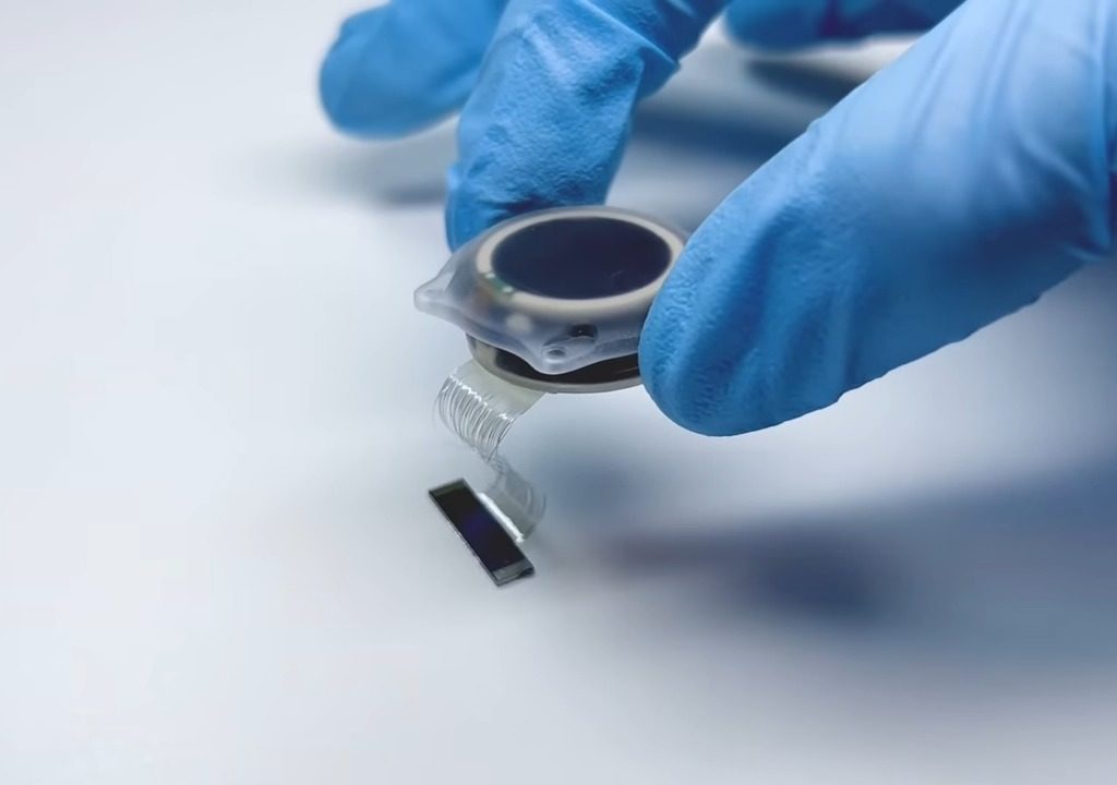 Musk cerca cavie umane per testare il chip cerebrale: nei test sono morti 1.500 animali