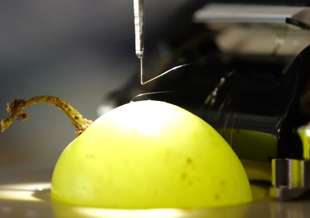 Musk cerca cavie umane per testare il chip cerebrale: nei test sono morti 1.500 animali