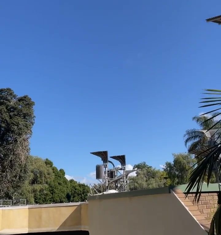 Orangotango scaglia opossum fuori dal recinto: panico allo zoo