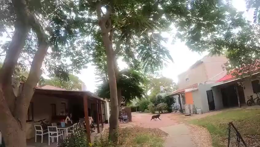 attacco di Hamas registrato con le GoPro: nemmeno i cani sono risparmiati