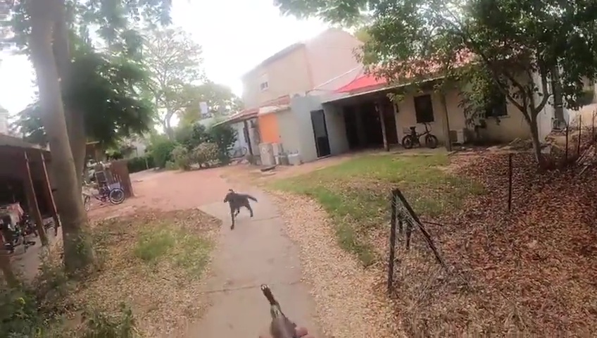 attacco di Hamas registrato con le GoPro: nemmeno i cani sono risparmiati