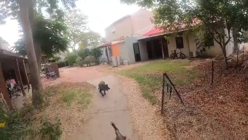attacco di Hamas registrato con le GoPro: nemmeno i cani sono risparmiati