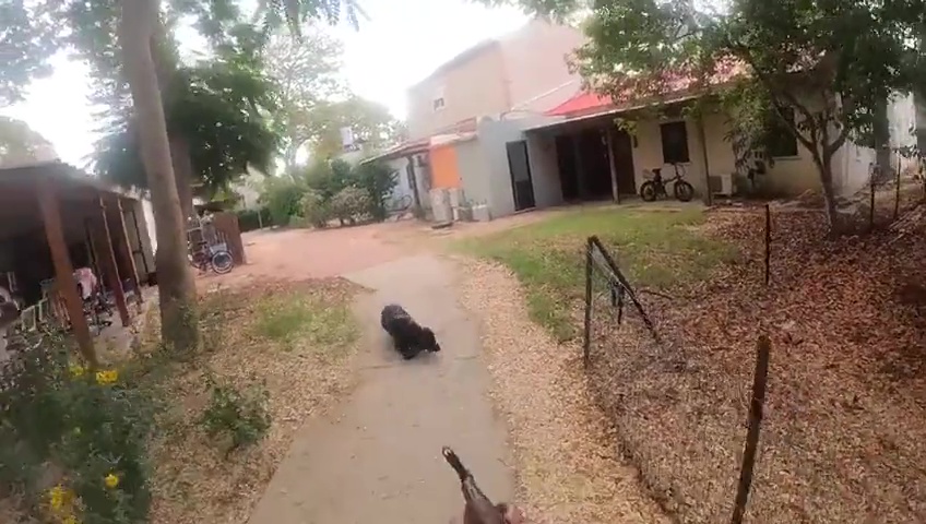 attacco di Hamas registrato con le GoPro: nemmeno i cani sono risparmiati