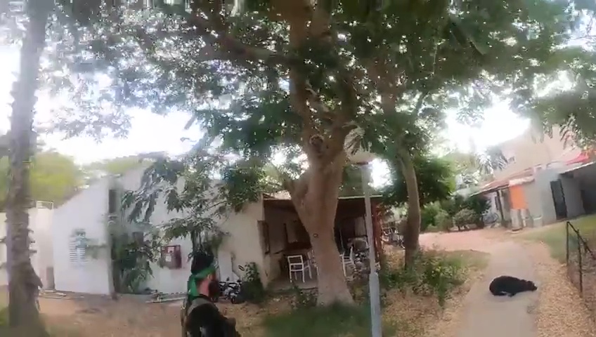 attacco di Hamas registrato con le GoPro: nemmeno i cani sono risparmiati