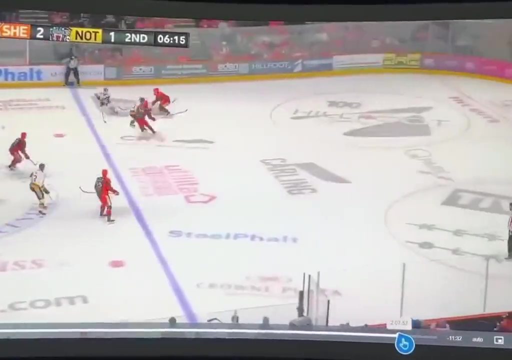 Giocatore di hockey muore durante partita: il video della tragedia