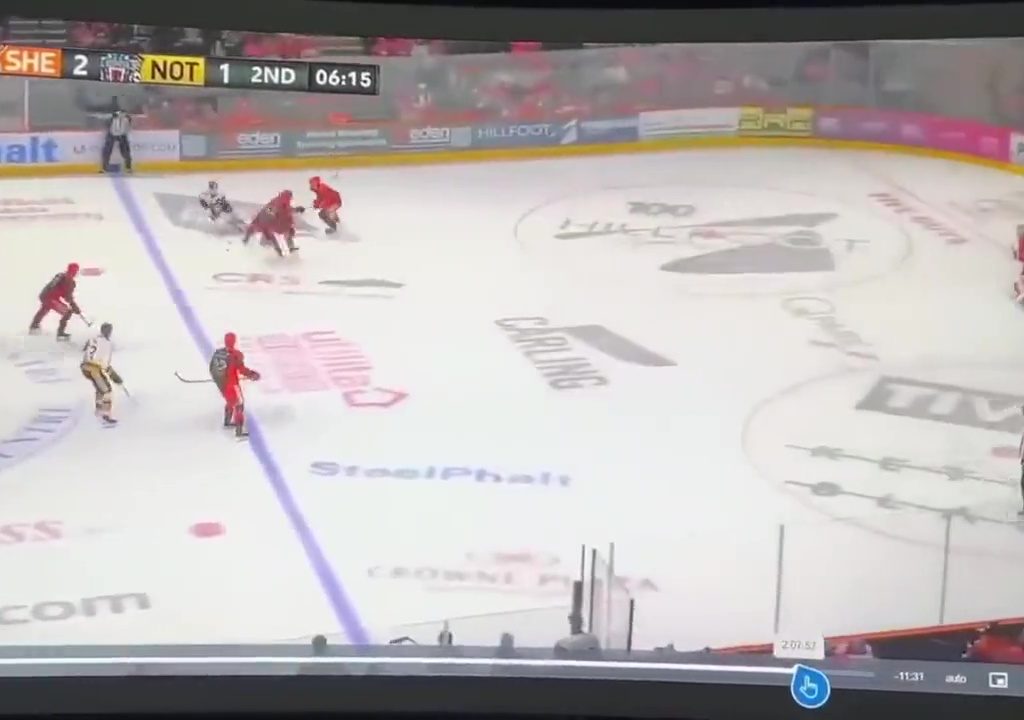 Giocatore di hockey muore durante partita: il video della tragedia