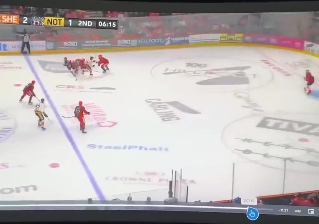 Giocatore di hockey muore durante partita: il video della tragedia