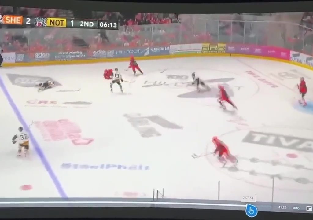 Giocatore di hockey muore durante partita: il video della tragedia