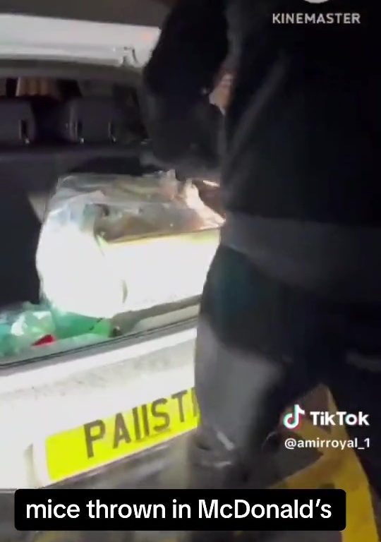 Filo palestinesi liberano dozzine topi vivi in un McDonald's: "E' solo il primo"