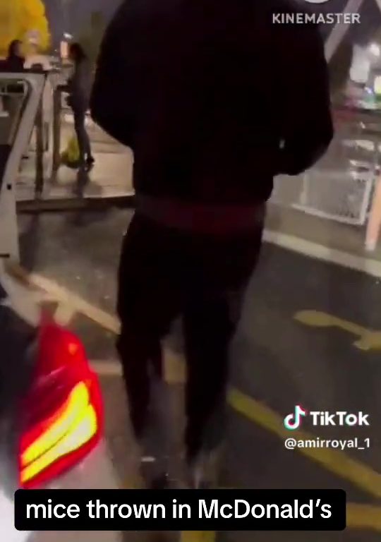 Filo palestinesi liberano dozzine topi vivi in un McDonald's: "E' solo il primo"