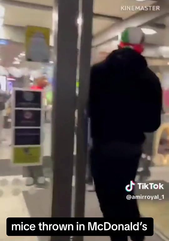 Filo palestinesi liberano dozzine topi vivi in un McDonald's: "E' solo il primo"