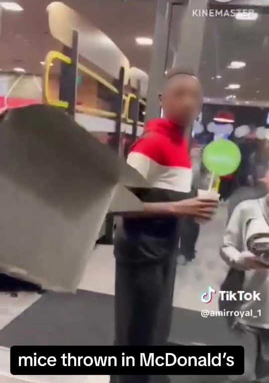 Filo palestinesi liberano dozzine topi vivi in un McDonald's: "E' solo il primo"