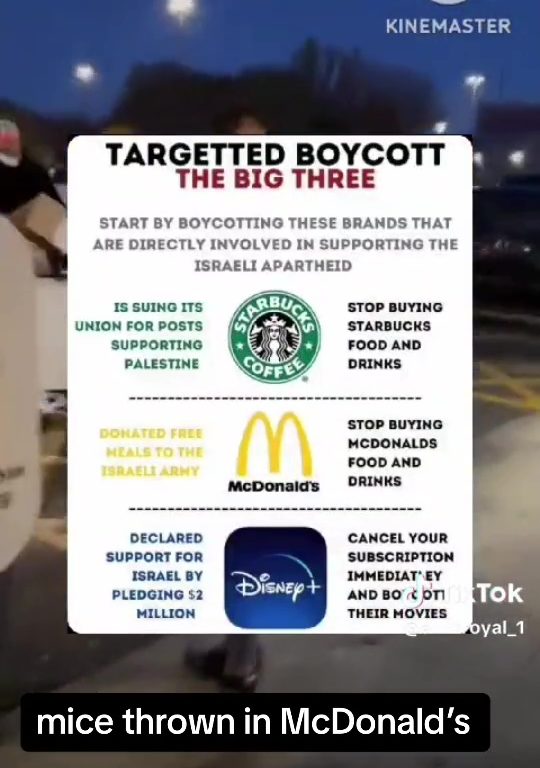 Filo palestinesi liberano dozzine topi vivi in un McDonald's: "E' solo il primo"