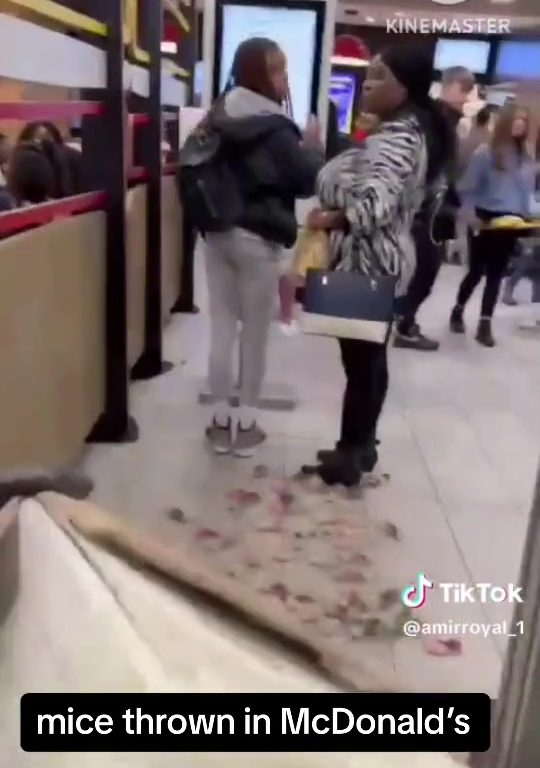 Filo palestinesi liberano dozzine topi vivi in un McDonald's: "E' solo il primo"