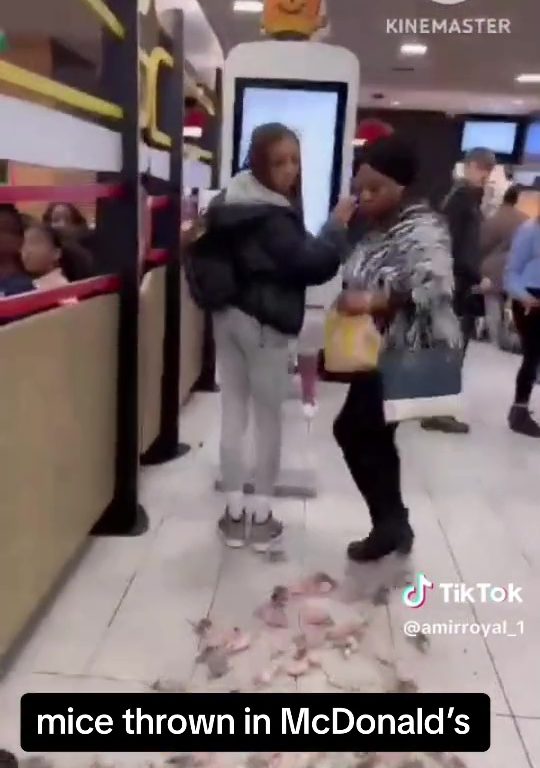 Filo palestinesi liberano dozzine topi vivi in un McDonald's: "E' solo il primo"