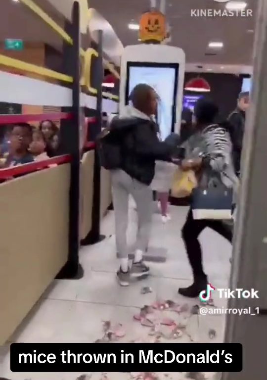 Filo palestinesi liberano dozzine topi vivi in un McDonald's: "E' solo il primo"