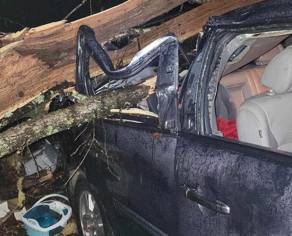 Neonato risucchiato da un tornado, trovato vivo sull'albero vicino casa