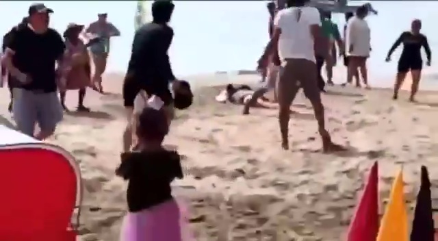 Madre si fa sbranare da squalo per salvare figlia di 5 anni: terrore in spiaggia