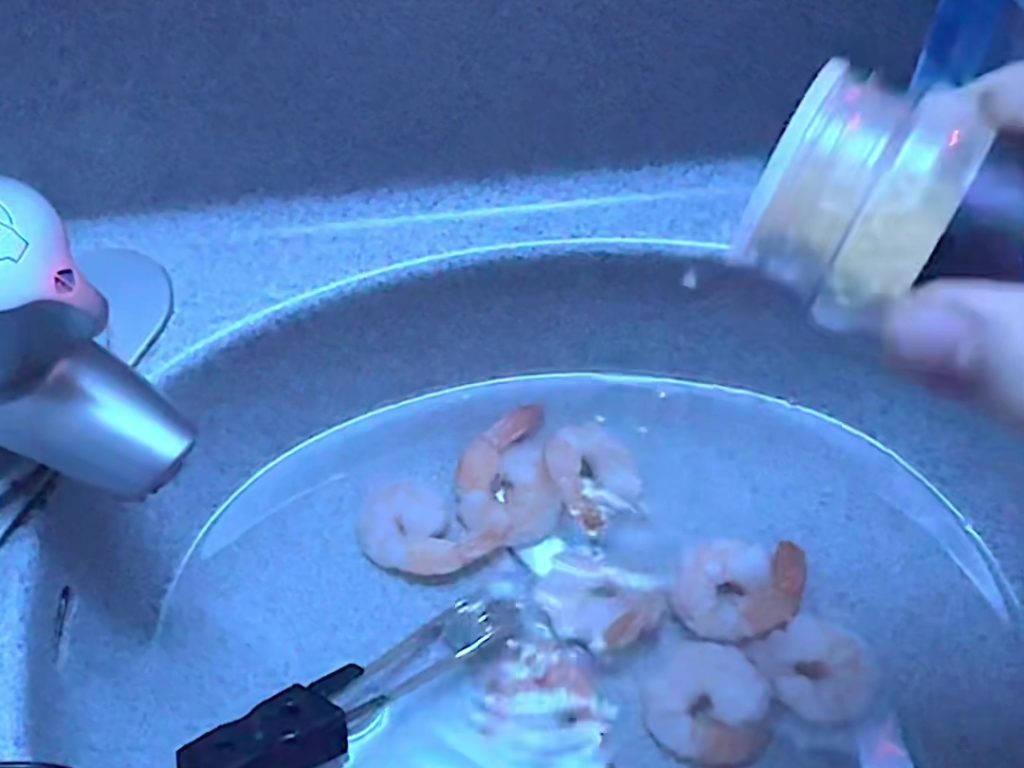 TikToker si cucina gamberetti all'aglio nel bagno dell'aereo: il folle video