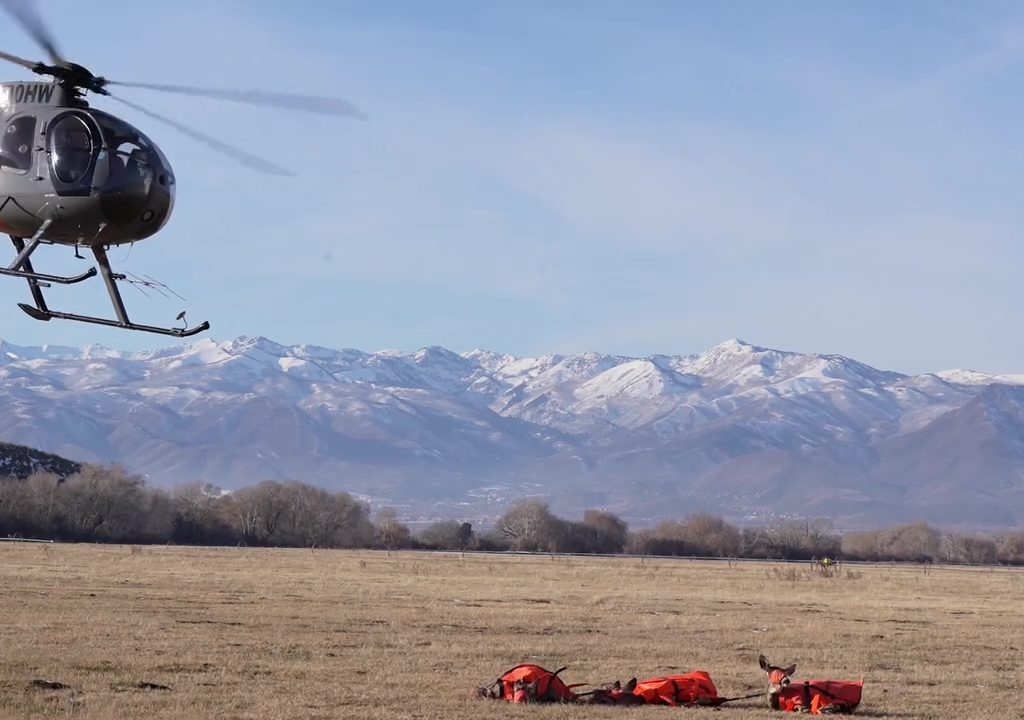 Avvistate sullo Utah le renne volanti di Babbo Natale: ecco il video