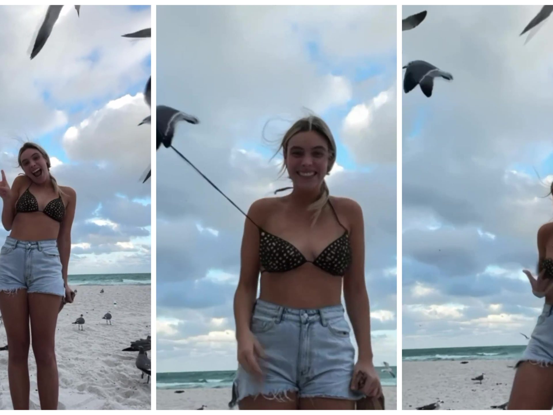 L'influencer Lele Pons spogliata in spiaggia da un gabbiano che le sfila il bikini
