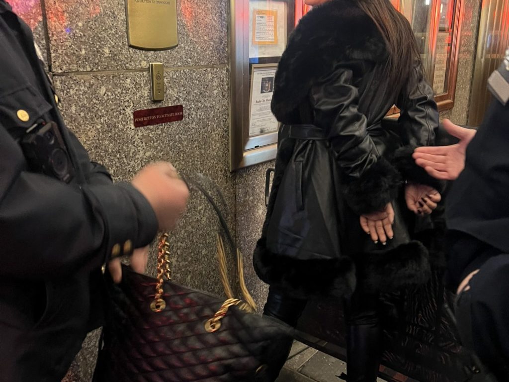 L'attrice hard Lisa Ann arrestata per uso improprio del cellulare in maniera impropria