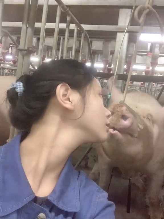 Allevatrice di maiali racconta la vita sui social e diventa una star