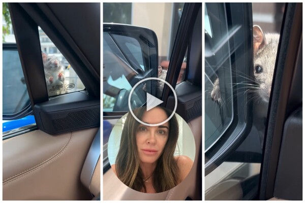 Kyle Richard bleibt von einer Ratte in ihrem Auto stecken und gerät in Panik: urkomisches Video