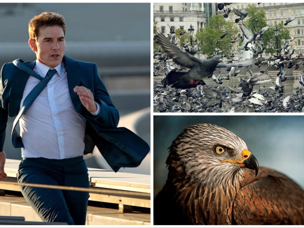 Tom Cruise sfratta i piccioni da Londra per girare un film